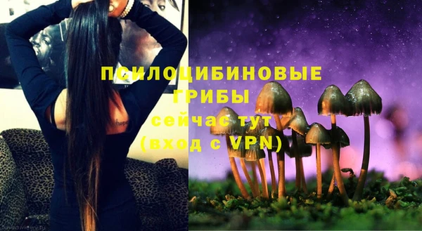 мдпв Балабаново
