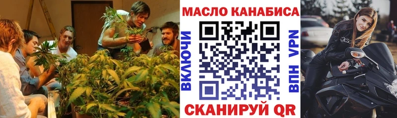наркотики  Ногинск  Дистиллят ТГК THC oil 