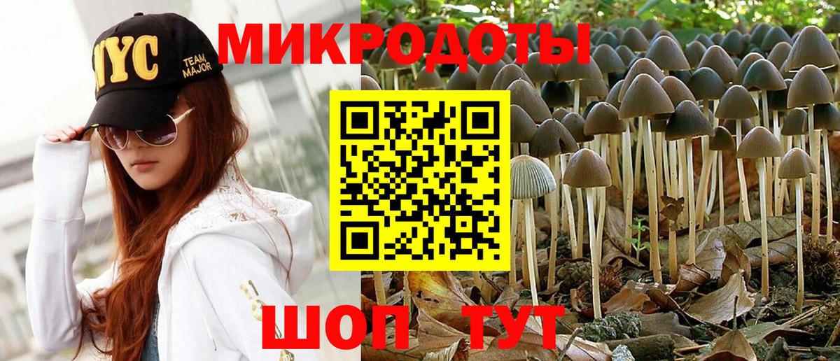 Псилоцибиновые грибы мицелий  Вход с VPN  Ногинск 