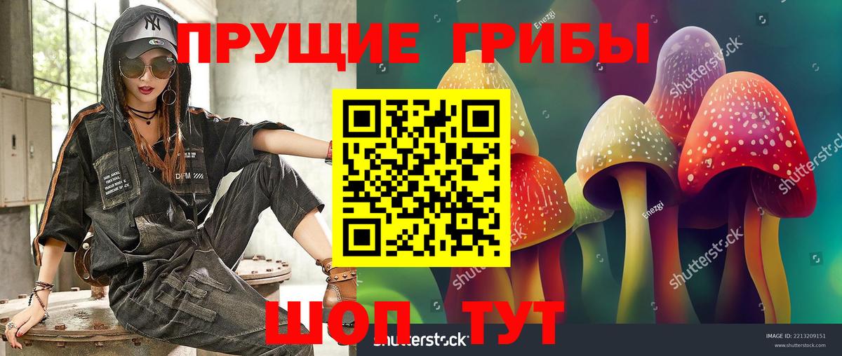 Псилоцибиновые грибы Psilocybine cubensis Ногинск